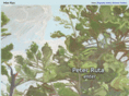 peterruta.com