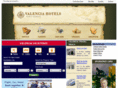 valencia-hotels.net