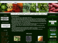 nongsanviets.com