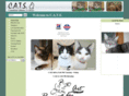 kittensandcats.org