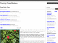 pruningrosebushes.net