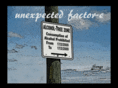 unexpected-factor-e.com