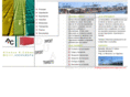 agentesdeaduanasenalgeciras.com