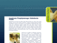 przybijpiatke.com