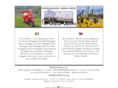 bellinibruno.com