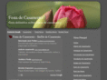 festa-de-casamento.com