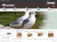 plurifon.com