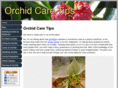 orchid-care-tips.com