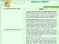 whatismms.com