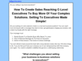 sellingtoexecutives.com