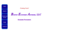 bostoneconomicadvisors.biz