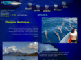 dauphins-martinique.com