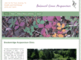 balancedcraneacupuncture.com