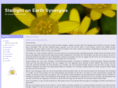 bloesemsynergies.com