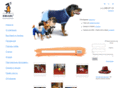 dogseason.ru