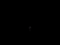 fotooral.com