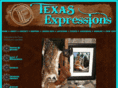 texas-rain.com