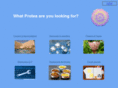 protea.com