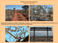 westaustralien-expeditionen.de