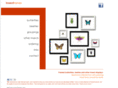 insectframes.com