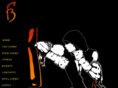 fightboxingteam.com