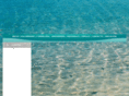 oceansocorrismo.com