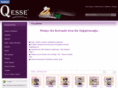 qesse.net