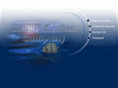 shell-fisheries.com