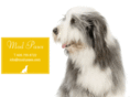 mod-paws.com