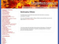 ottawabankruptcy.net