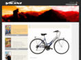 vicinibike.com