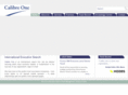 calibreone.net