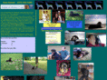 kenskennel.net