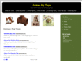 guineapigtoys.net