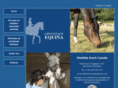 odontologiaequina.com