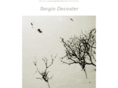 sergiodecoster.com