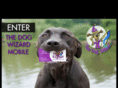 dog-wizard.com