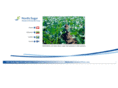 sugarbeet.nu