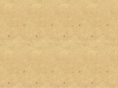 akenyafricasafari.com