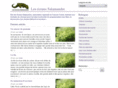 ecrans-salamandre.com
