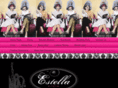 estellaasalon.com