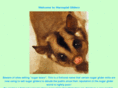 marsupialgliders.com