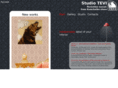 studiotevi.com