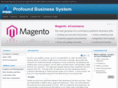 profoundbusinesssystem.com