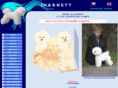 bichon-charnett.cz