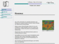 gmhsw.com