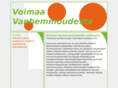 voimaavanhemmuudesta.net