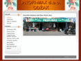 profi-max.info