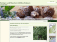 waschnuesse-ratgeber.com