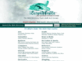 search-turtle.com